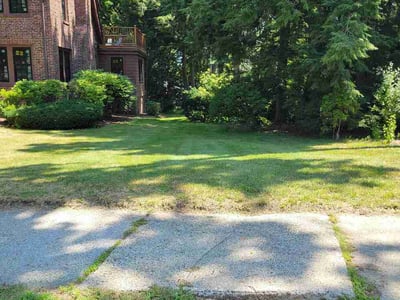 Lawn Care service in Arlington, 02476