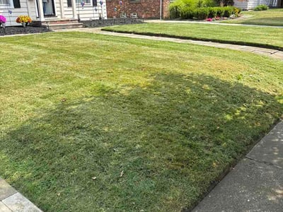 Lawn Care service in Shaker Heights, 44122
