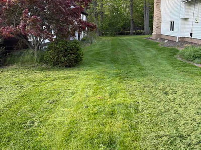 Lawn Care service in Shaker Heights, 44122