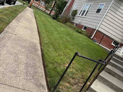 Lawn Care service in Providence, 02903