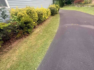 Lawn Care service in Severn, 21144