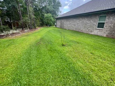 Lawn Care service in Miramar Beach, 32550