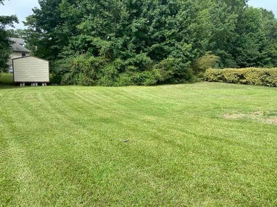 Lawn Care service in Spring Valley, 91977