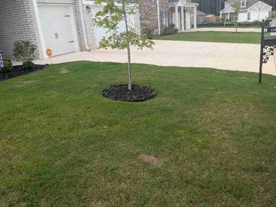 Lawn Care service in Pell City, 35125