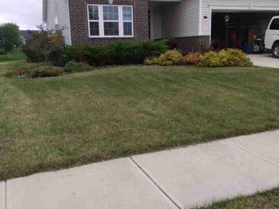 Lawn Care service in Delaware, 43015