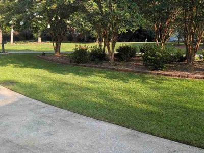 Lawn Care service in Pell City, 35125