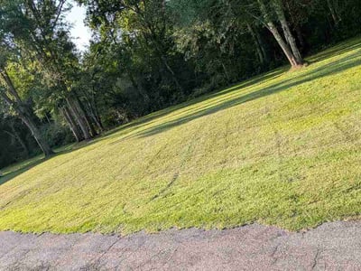 Lawn Care service in Pell City, 35125