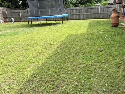 Lawn Care service in Malden, 02148