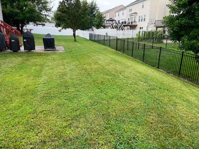 Lawn Care service in Vista, 92083