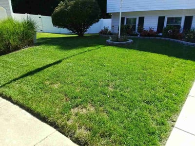 Lawn Care service in Pasadena, 21122