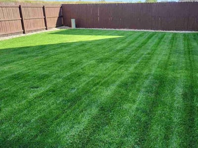Lawn Care service in Peyton, 80831