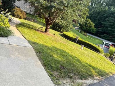 Lawn Care service in Edgewater, 21037