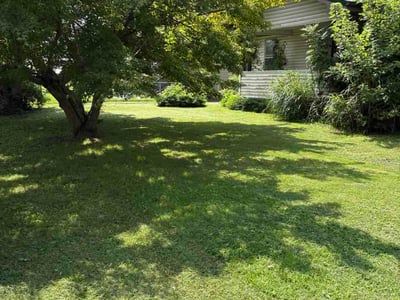 Lawn Care service in Charleston, 25301