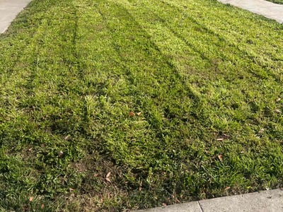 Lawn Care service in Milpitas, 95035