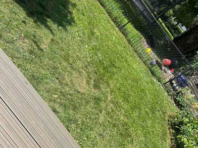 Lawn Care service in Mckeesport, 15132