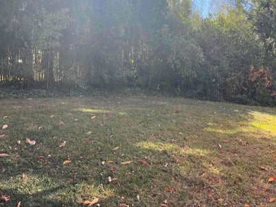 Lawn Care service in Beltsville, 20705