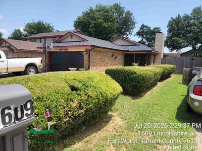 Lawn Care service in Milpitas, 95035