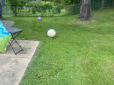 Lawn Care service in Beltsville, 20705