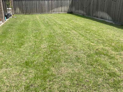Lawn Care service in Fallbrook, 92028