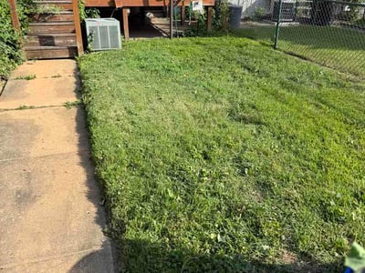 Lawn Care service in Gwynn Oak, 21207