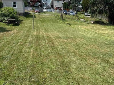 Lawn Care service in Clarks Summit, 18411