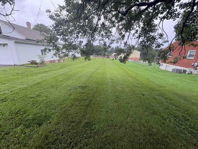 Lawn Care service in Charlottesville, 22902