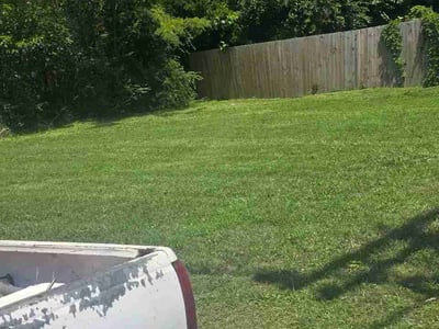 Lawn Care service in Charlottesville, 22902