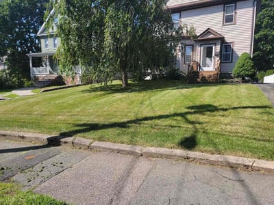 Lawn Care service in Norwood, 02062