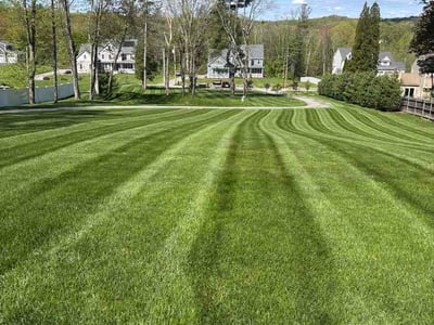 Lawn Care service in Webster, 01570