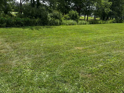 Lawn Care service in North Ridgeville, 44039