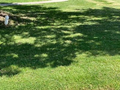 Lawn Care service in Roxboro, 27573
