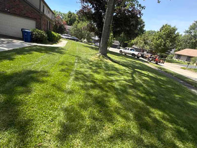 Lawn Care service in Laurel, 20707