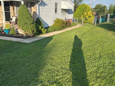 Lawn Care service in Parkville, 21234