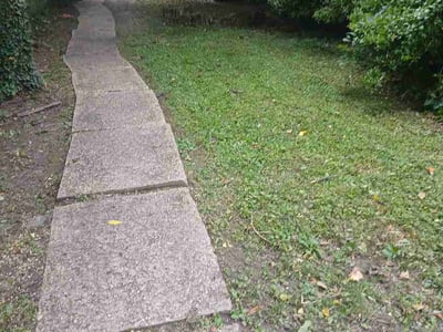 Lawn Care service in White Marsh, 21236