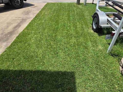 Lawn Care service in San Benito, 78586