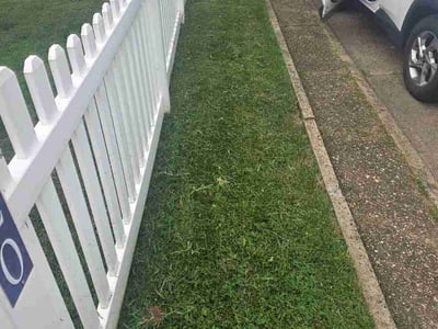 Lawn Care service in Saint Albans, 25177
