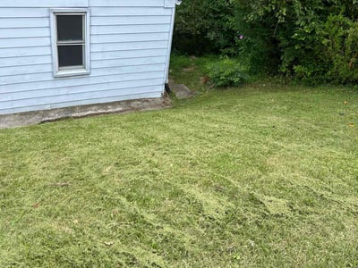 Lawn Care service in Duquesne, 15110
