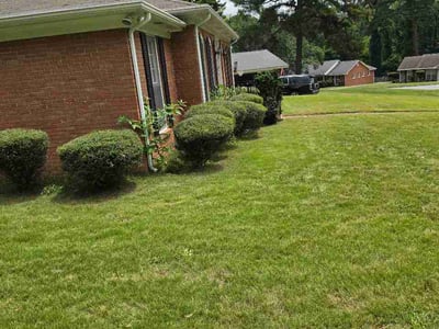 Lawn Care service in Oxnard, 93030