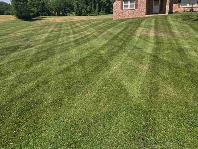 Lawn Care service in Lusby, 20657