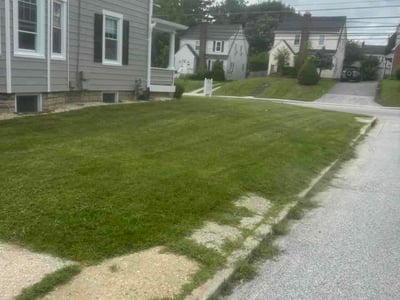 Lawn Care service in Towson, 21286