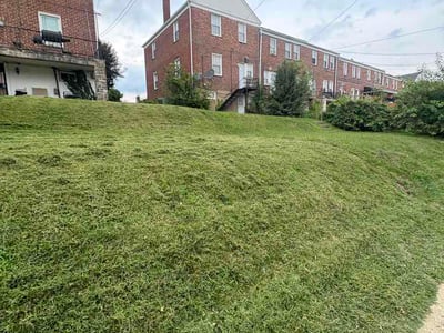 Lawn Care service in Towson, 21286