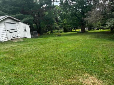 Lawn Care service in Owings Mills, 21117