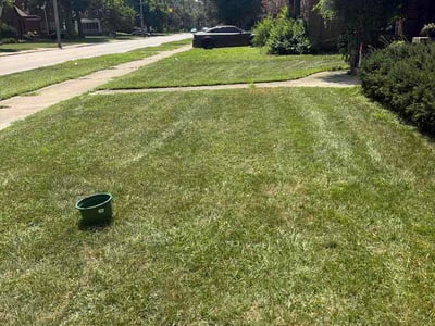 Lawn Care service in Urbana, 61801