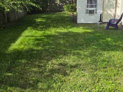 Lawn Care service in Urbana, 61801