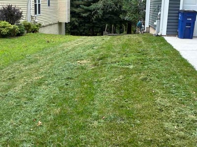 Lawn Care service in Ellicott City, 21043
