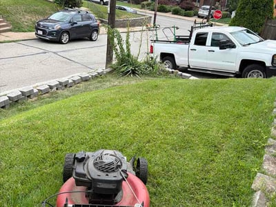 Lawn Care service in Dunbar, 15431