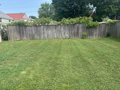 Lawn Care service in Mount Airy, 21771
