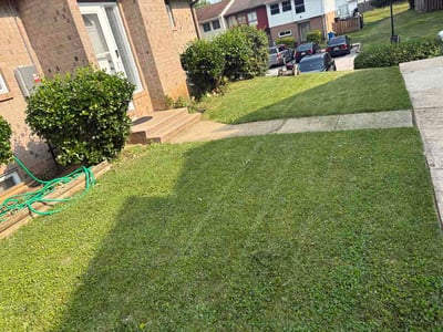 Lawn Care service in Randallstown, 21133
