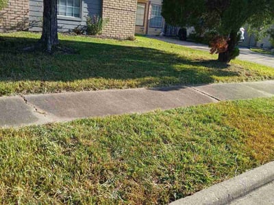 Lawn Care service in Weymouth, 02188