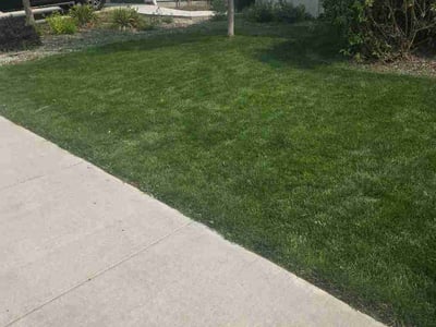 Lawn Care service in Caldwell, 83605